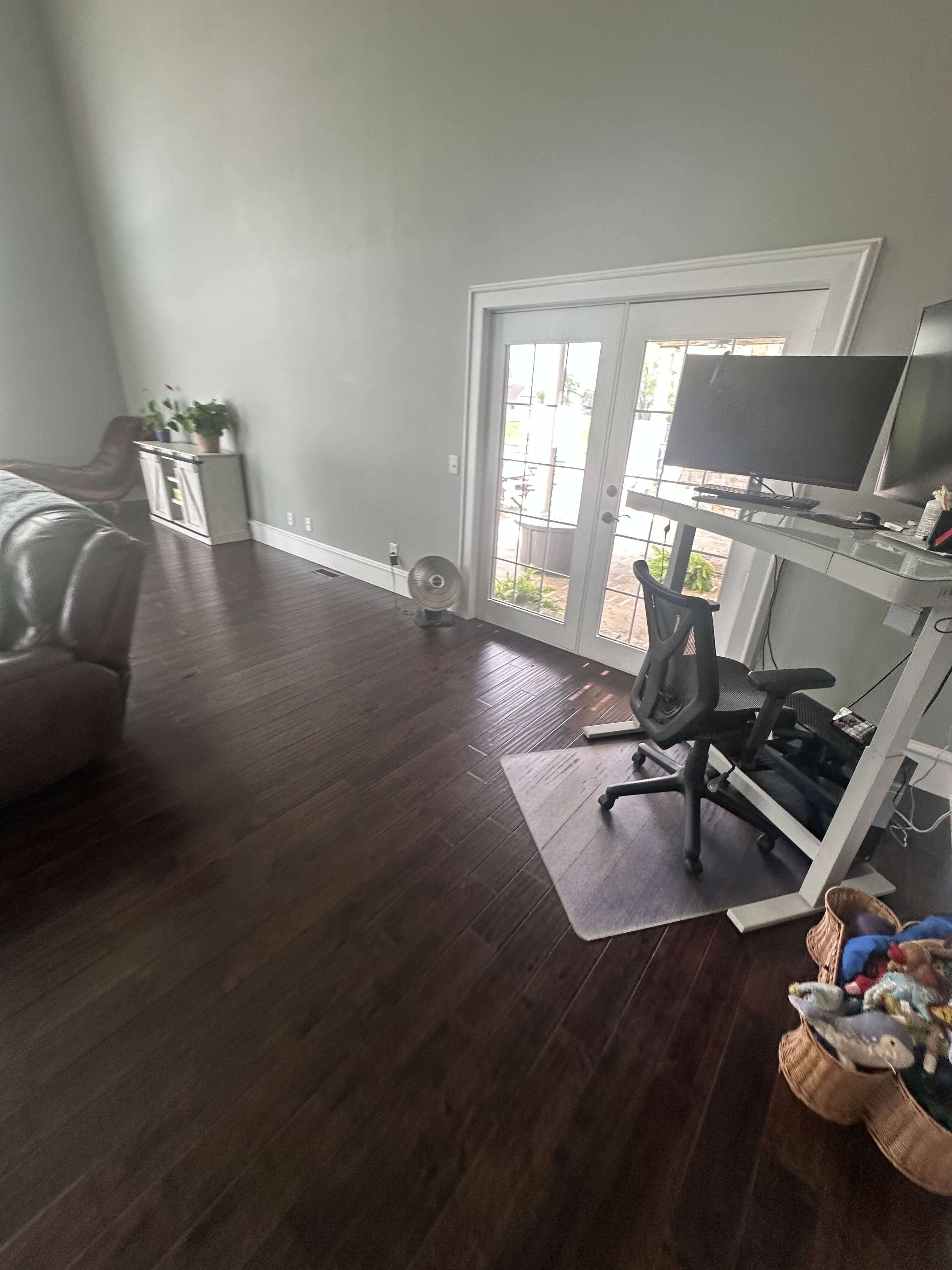 Professional Home Office