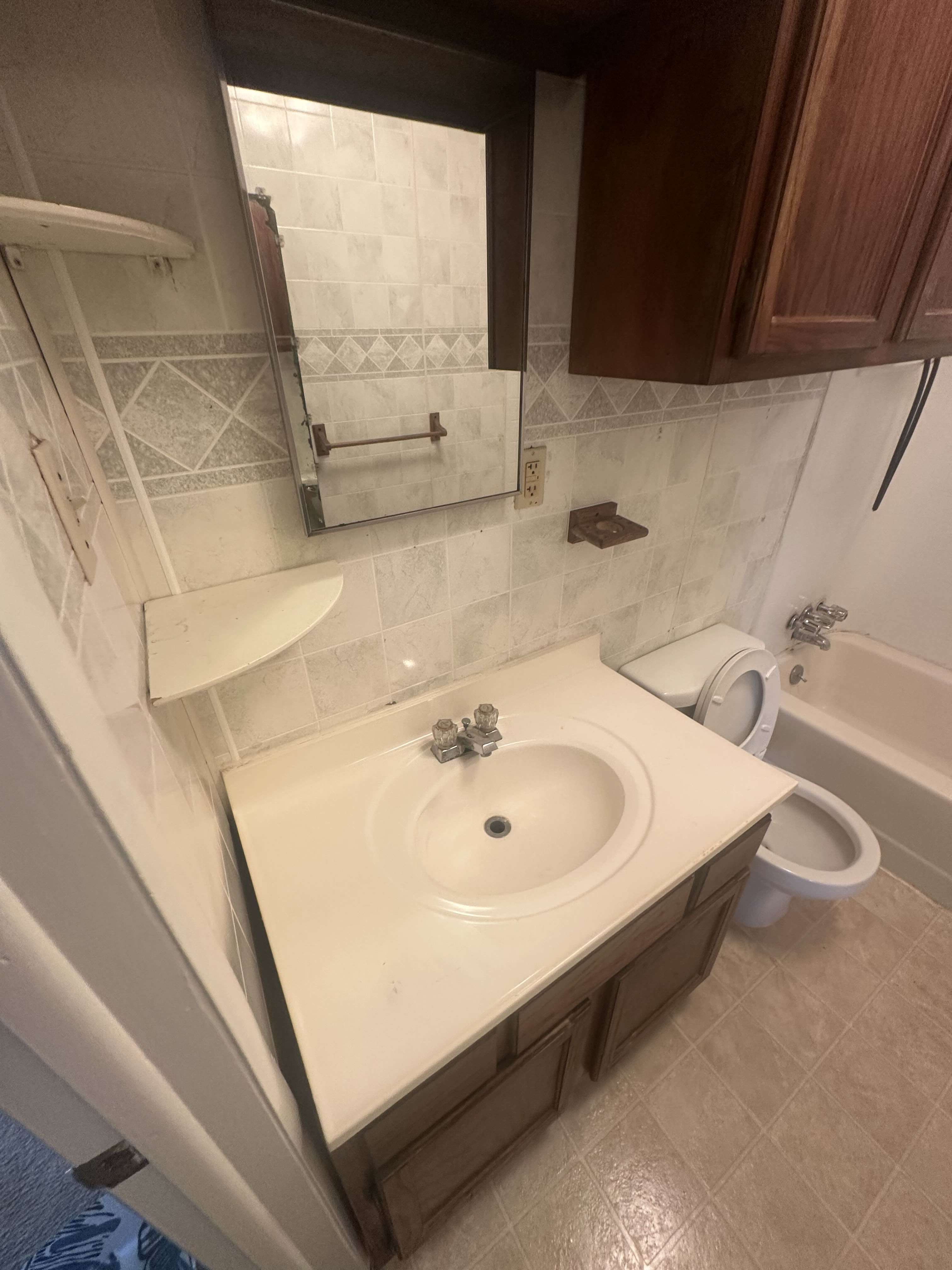 Master Bathroom Elegance